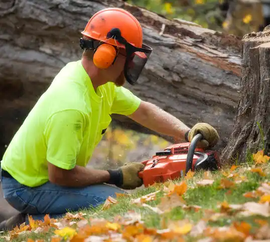 tree services Clarktown